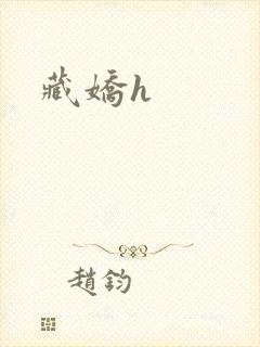 藏娇h