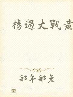 杨过大战黄蓉封面