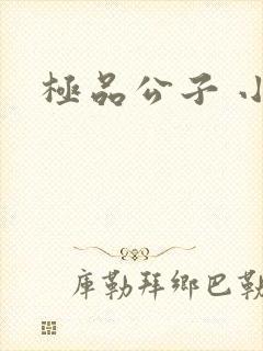 极品公子 小说封面