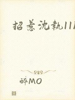 招惹沈执11h封面