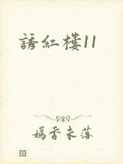 诱红楼11