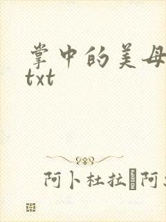 掌中的美母版主txt