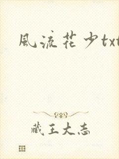 风流花少txt
