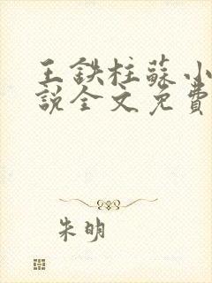 王铁柱苏小汐小说全文免费阅读最新章节封面