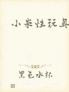 小米性玩具日记