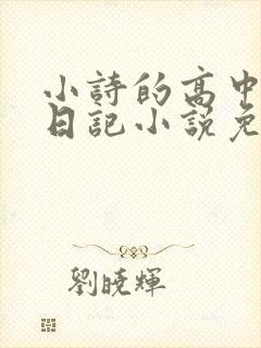 小诗的高中成长日记小说免费阅读
