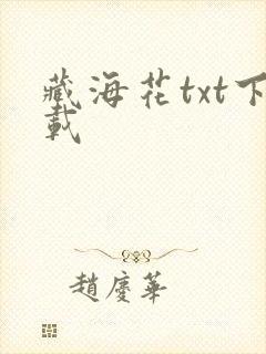 藏海花txt下载封面