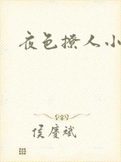 夜色撩人小说