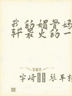 我的媚骨妈妈林轩最火的一句