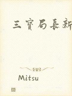 三宝局长新编封面
