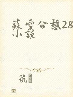 苏雪公憩28篇小说封面