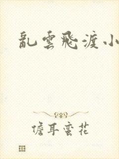 乱云飞渡小说