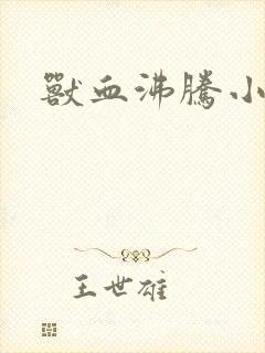 书籍封面