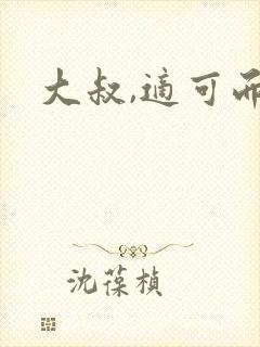 大叔,适可而止封面
