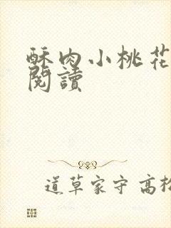 酥肉小桃花全文阅读