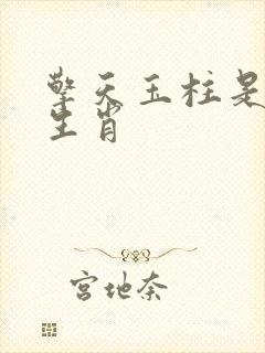 擎天玉柱是什么生肖