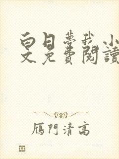 白日梦我小说全文免费阅读封面