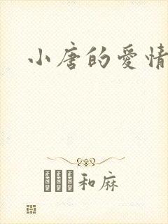小唐的爱情史封面