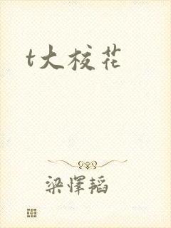 t大校花