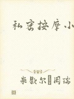 私密按摩小说