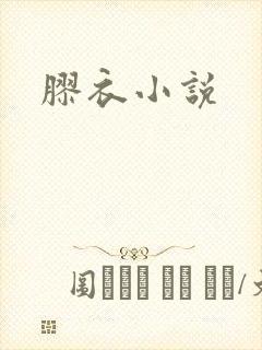 胶衣小说封面
