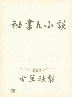 秘书h小说封面
