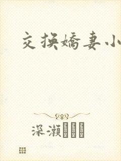 交换娇妻小说