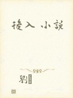 后入 小说