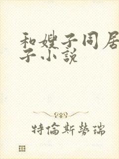 和嫂子同居的日子小说封面