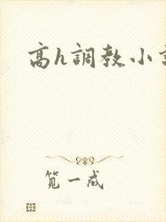 高h调教小说