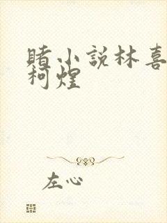 赌小说林喜朝和柯煜