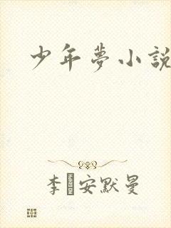 少年梦小说