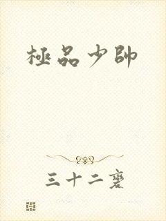 极品少帅