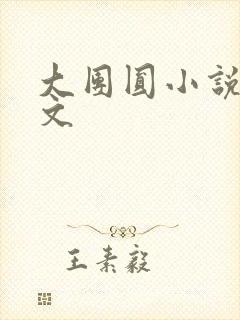 大团圆小说集全文封面