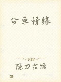 公车情缘