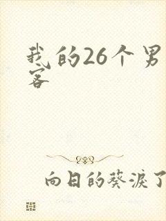 我的26个男房客封面