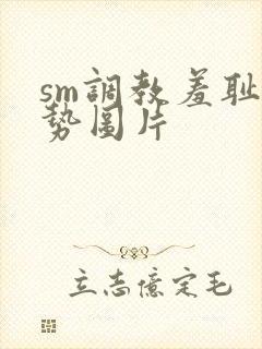 sm调教羞耻姿势图片