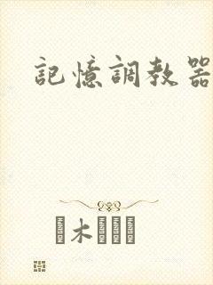 记忆调教器封面