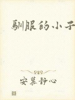 驯服的小子4封面