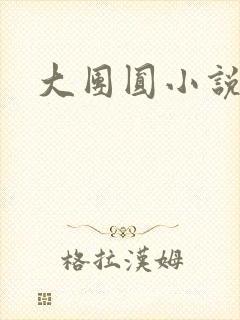 大团圆小说