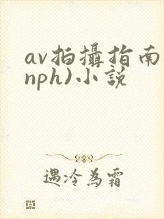 av拍摄指南(nph)小说封面