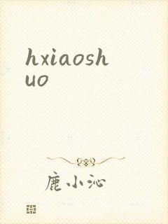 hxiaoshuo封面