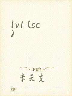 1v1 (sc)封面