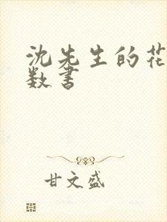 沈先生的花式调数书封面
