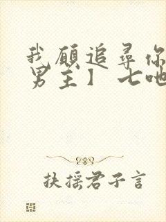 我愿追寻你【双男主】 七吔