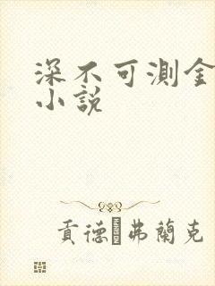 深不可测金银花小说