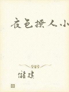 夜色撩人小说封面