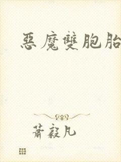 恶魔双胞胎封面
