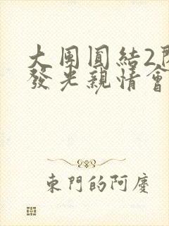 大团圆结2闪闪发光亲情会