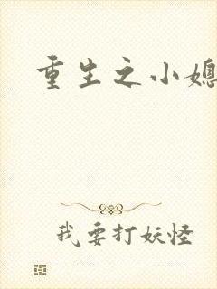 重生之小媳妇